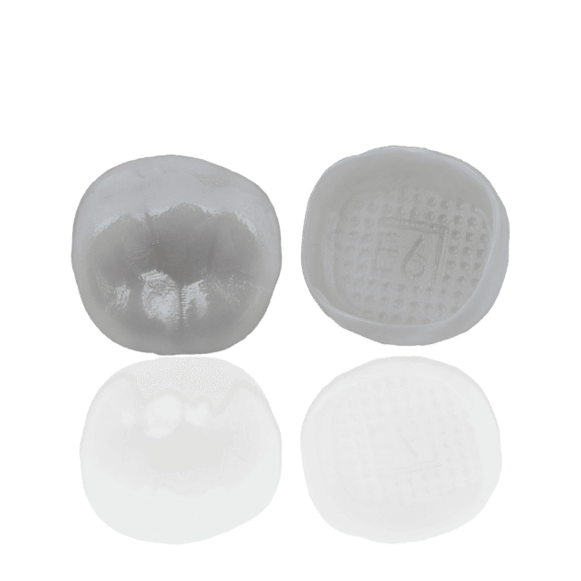Second-molar-refill-2-1000x1000-1.png