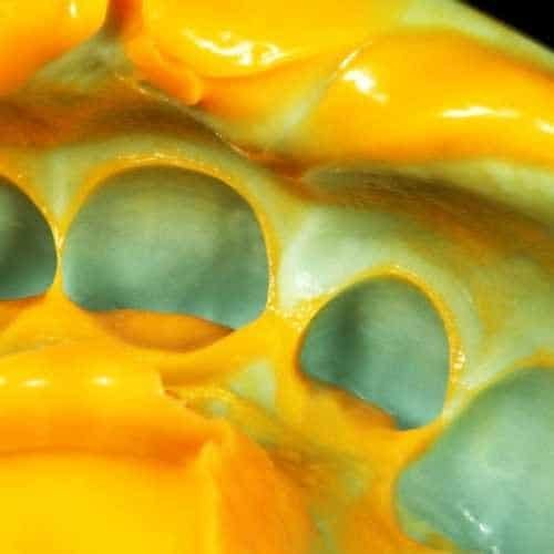 bucket-2.jpg bucket-2.jpg