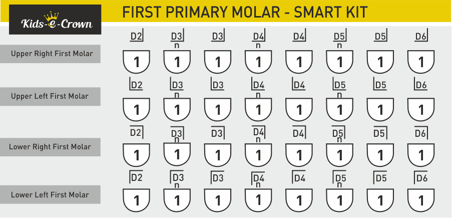 primaryfirst_molar_kit_detail2.png primaryfirst_molar_kit_detail2.png